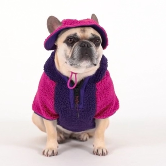 ⭐️HOST PICK⭐️ Canada Pooch Pink Cool Factor Bucket Hat| Small - Picture 4 of 8